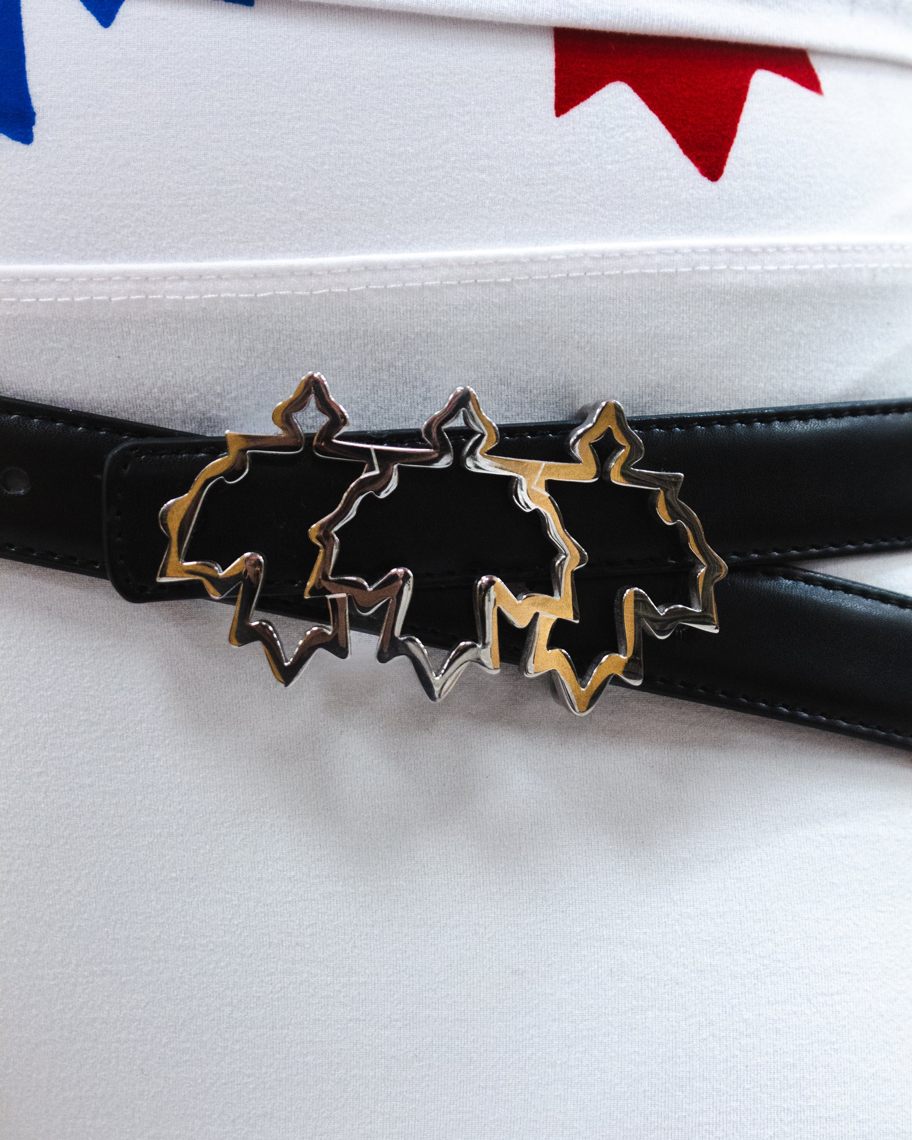 Le CL Buckle — image 2